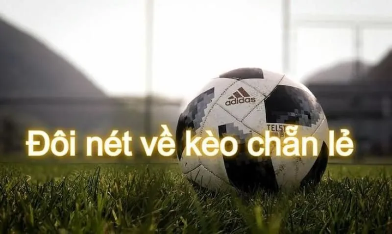 Soi kèo chẵn lẻ - Mách nhỏ kinh nghiệm thắng lớn tại trang chủ May88 1 Kèo chẵn lẻ luôn được người chơi quan tâm chú ý